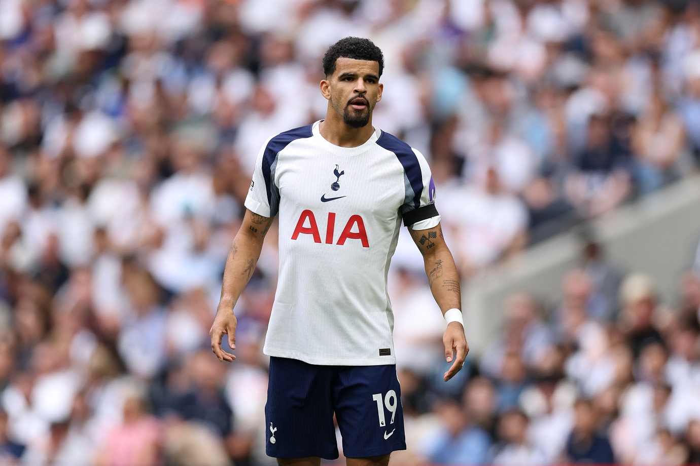Dominic Solanke of Tottenham
