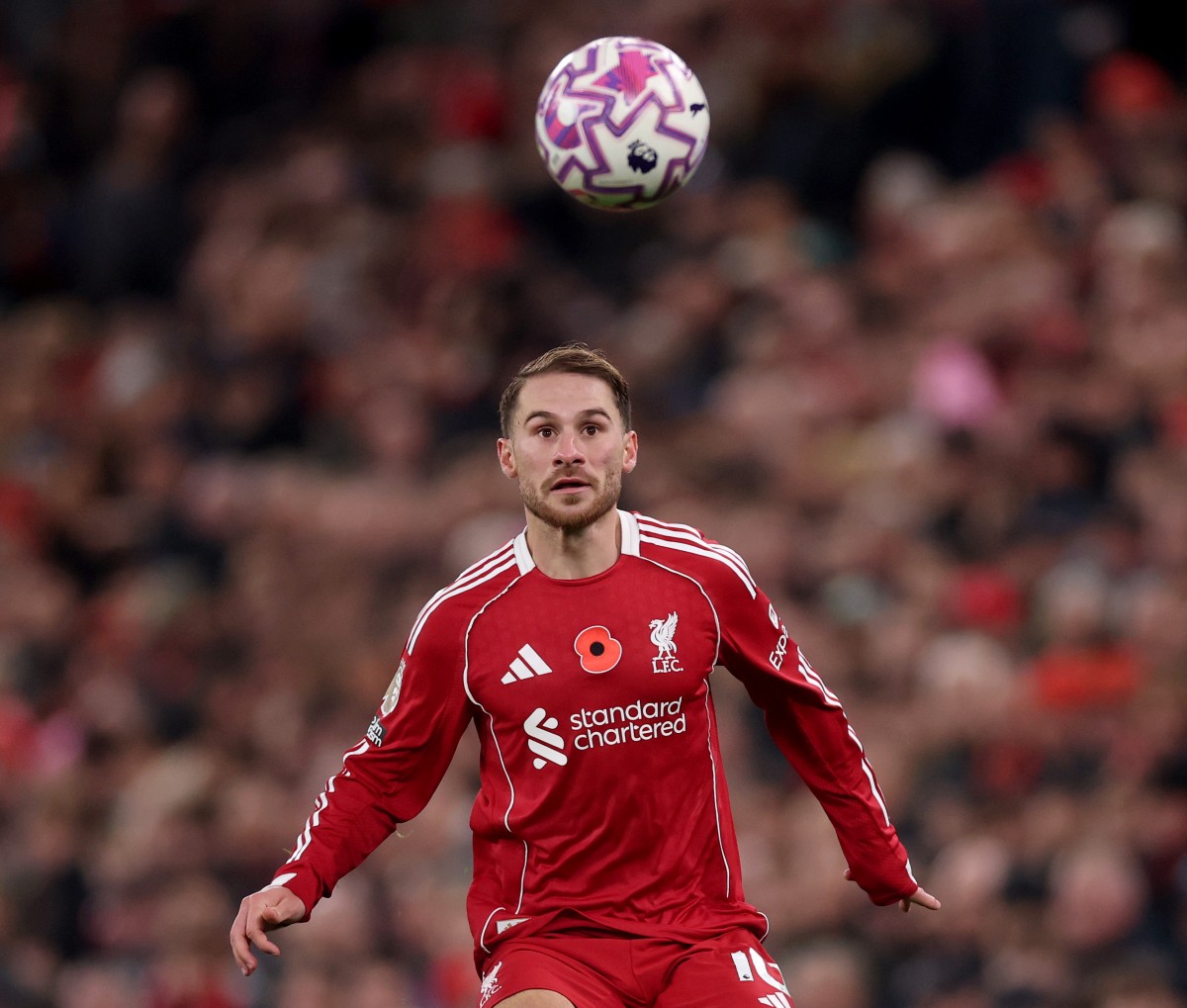 Alexis Mac Allister in action for Liverpool