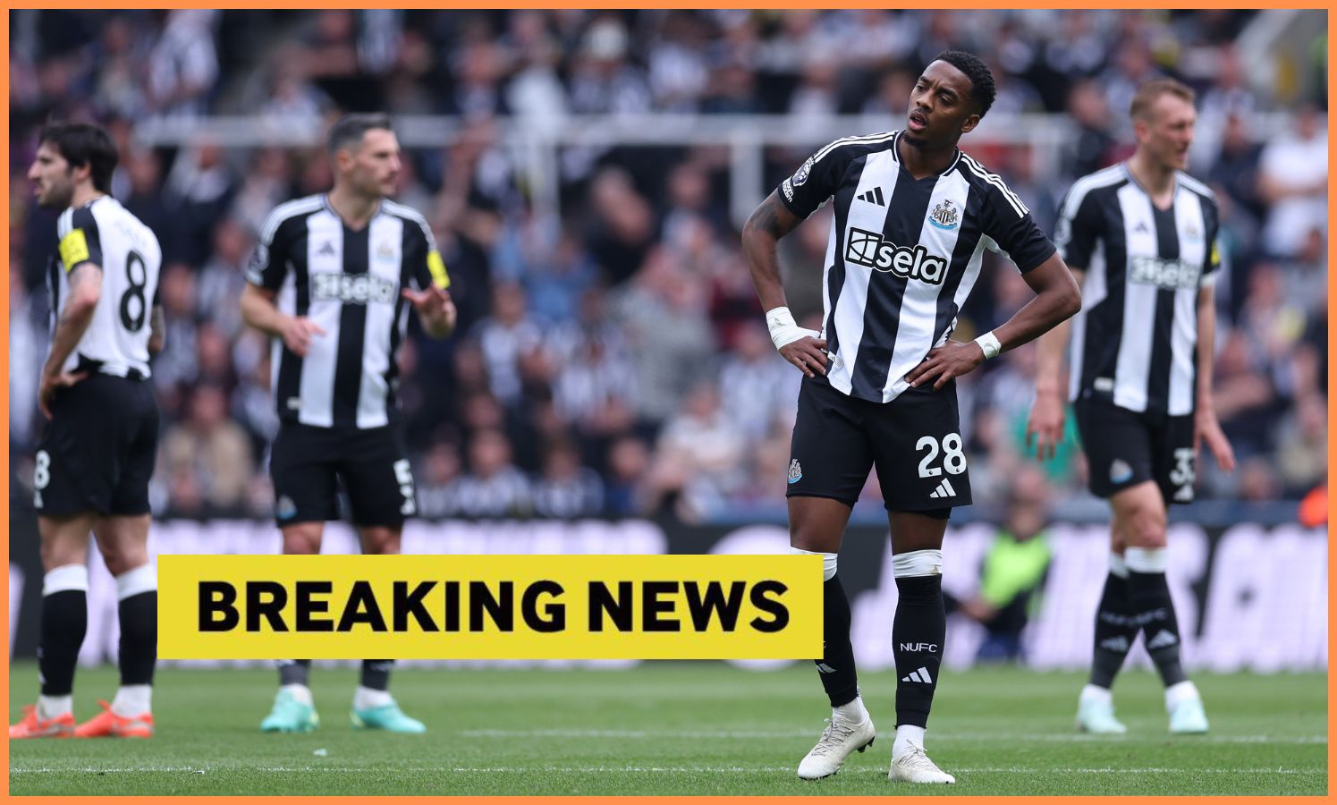 Palace top favourites to sign Newcastle star in January