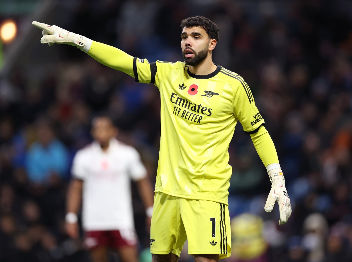 David Raya of Arsenal