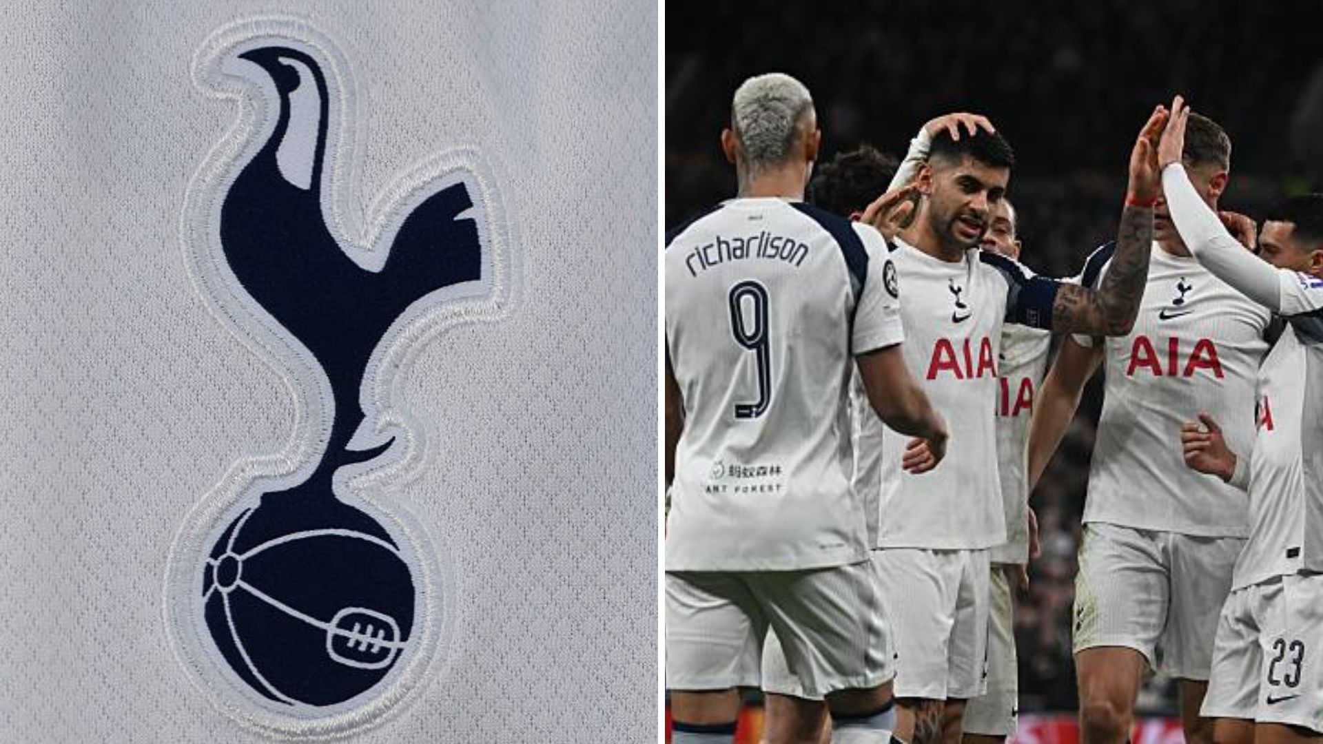 Split image of Tottenham badge and Tottenham players