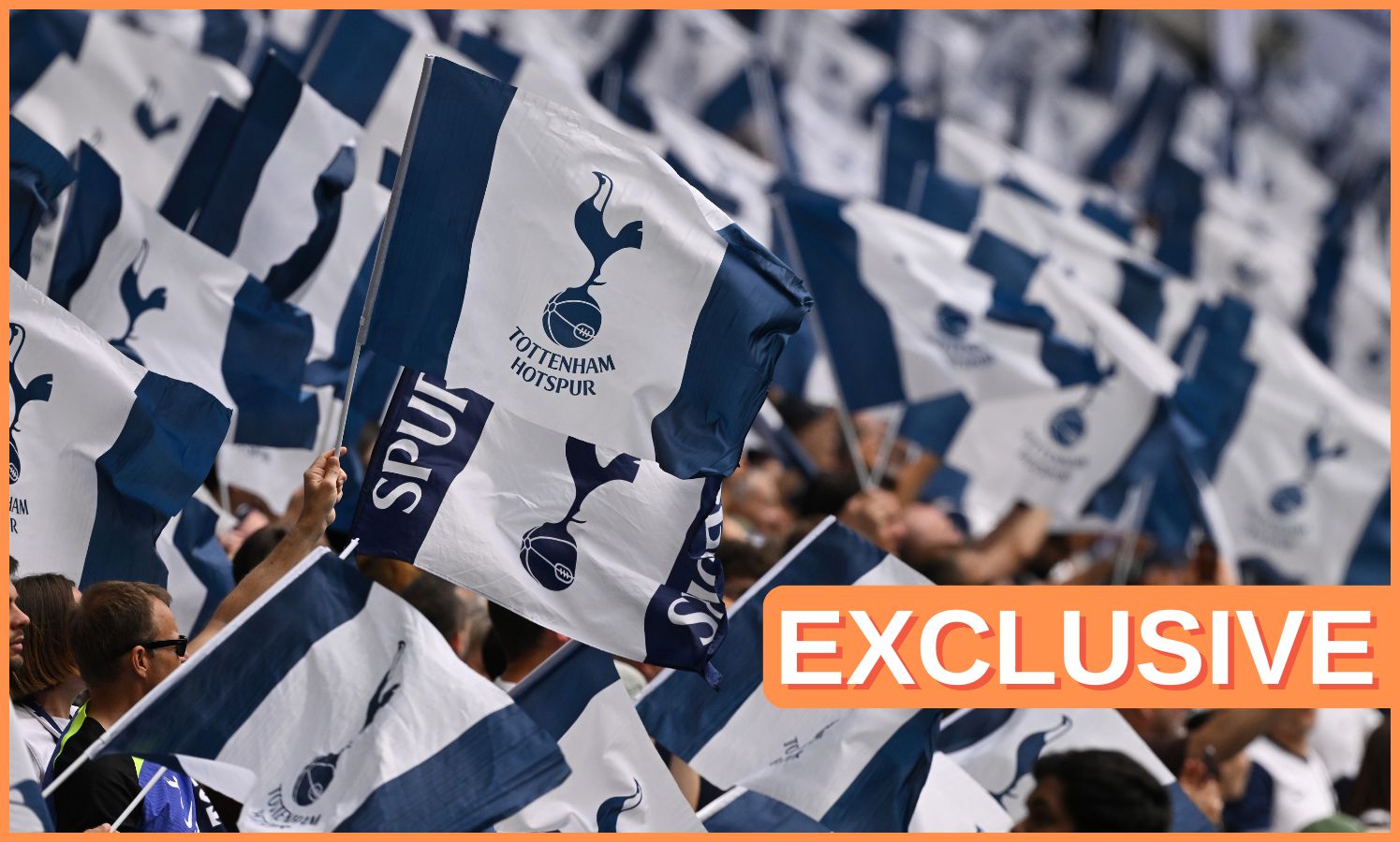 Tottenham exclusive