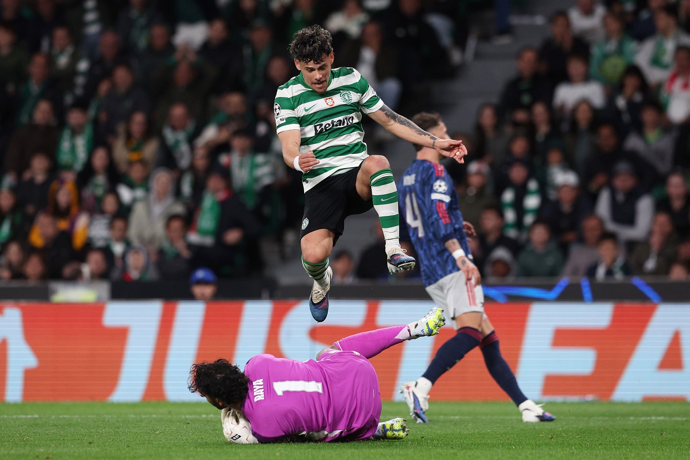 Maximiliano Araujo of Sporting Clube de Portugal has the ball saved at his feet by David Raya of Arsenal