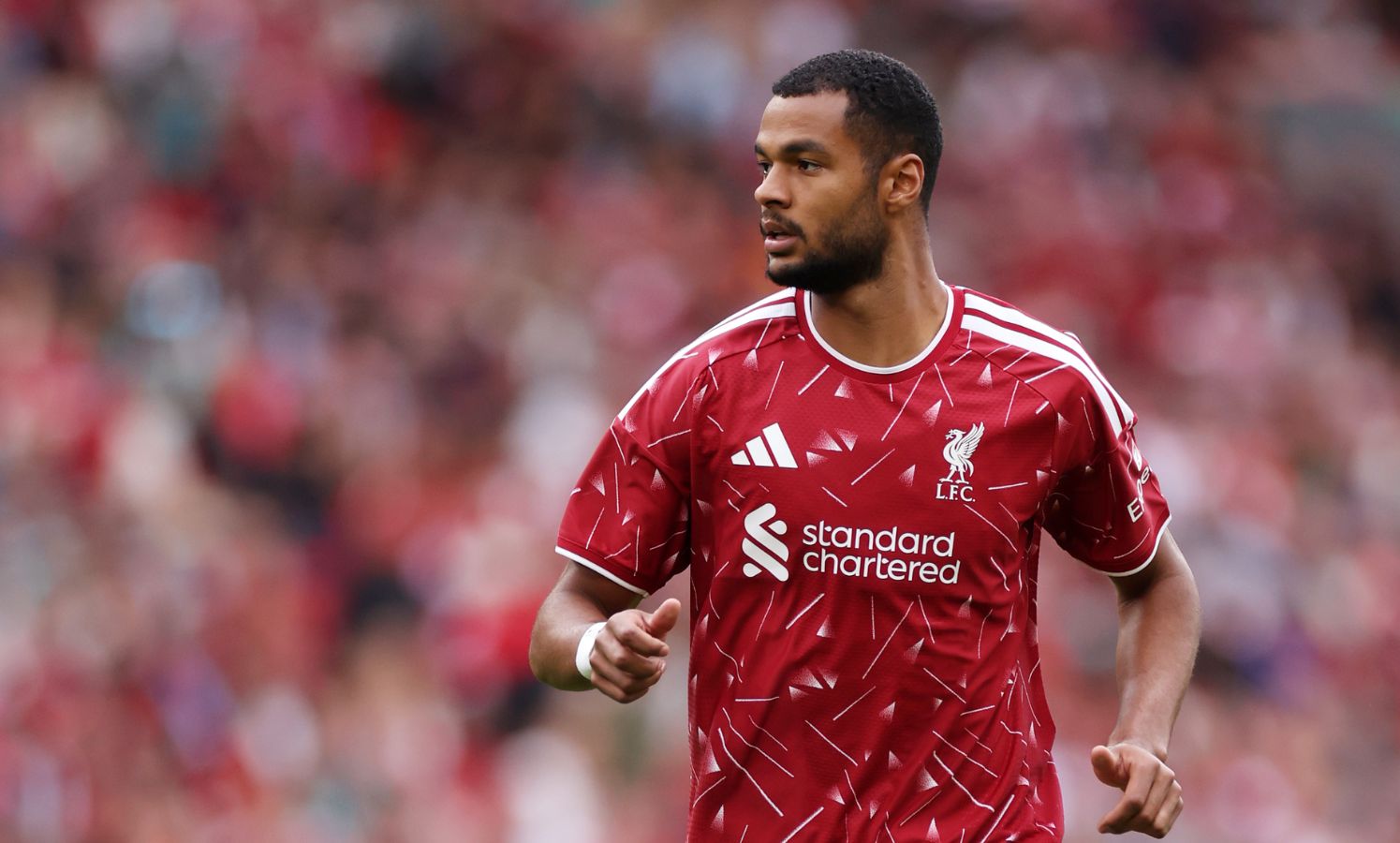 Cody Gakpo in action for Liverpool