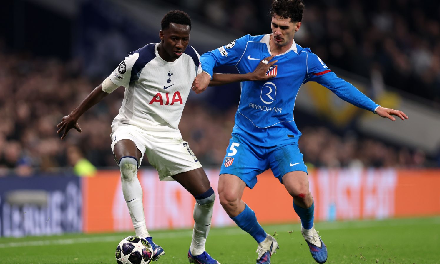 Pape Matar Sarr in action for Tottenham