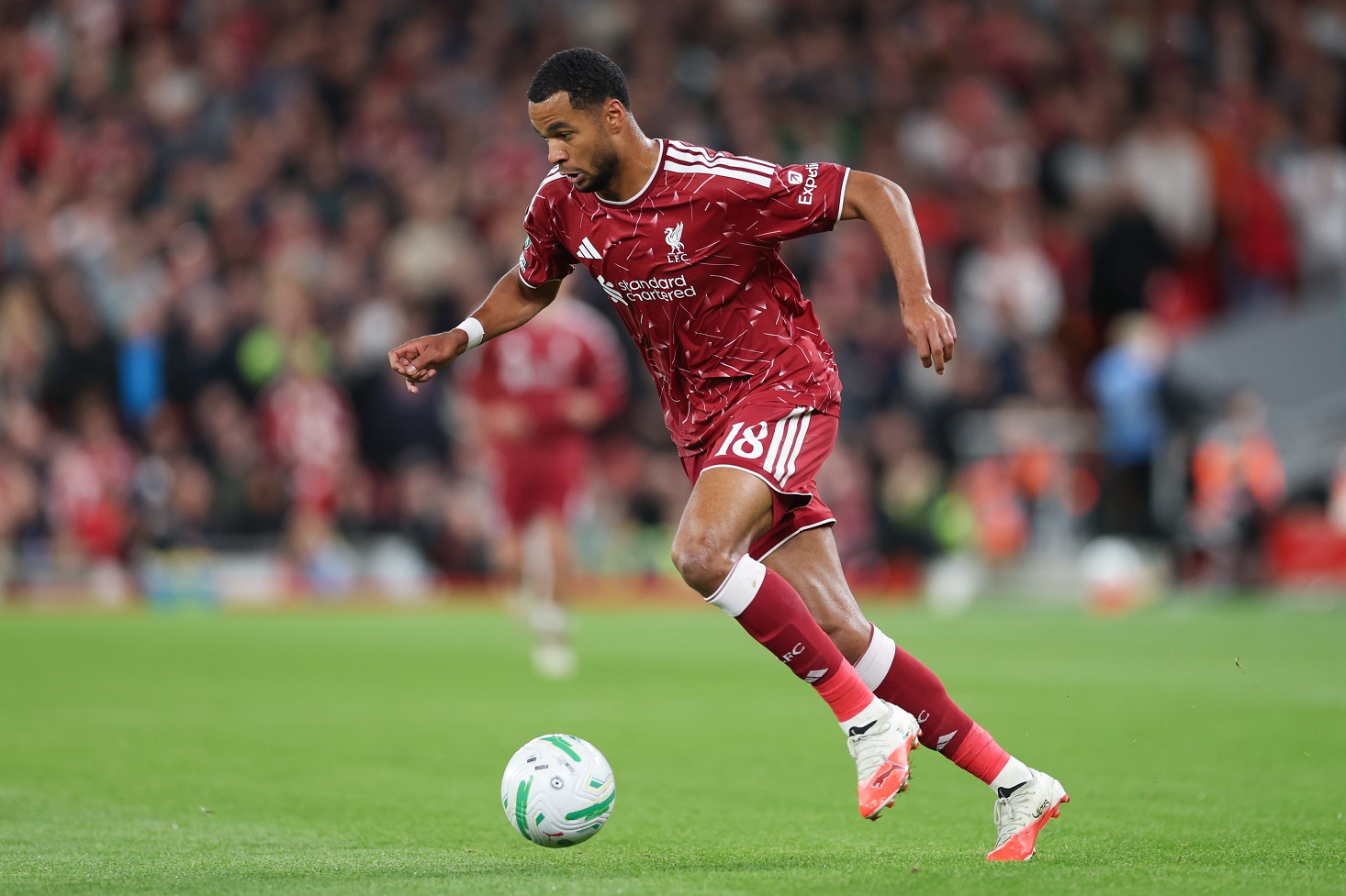 liverpool-v-tottenham-hotspur-carabao-cup-third-round Cody Gakpo is expected to miss crucial games for Liverpool with latest injury